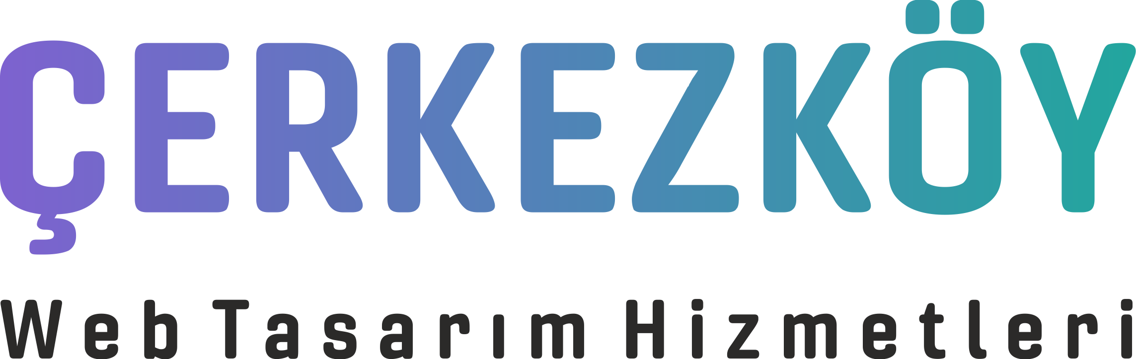 Cwt v23 Firma Yazılımı